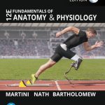 TESTBANK FOR Fundamentals of Anatomy and Physiology, Global Edition, 12th edition Frederic H. Martini - QUESTIONS ALL CHAPTERS PDF