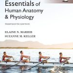 TESTBANK FOR Essentials of Human Anatomy & Physiology, Global Edition 13th Edition Elaine N. Marieb - QUESTIONS ALL CHAPTERS PDF