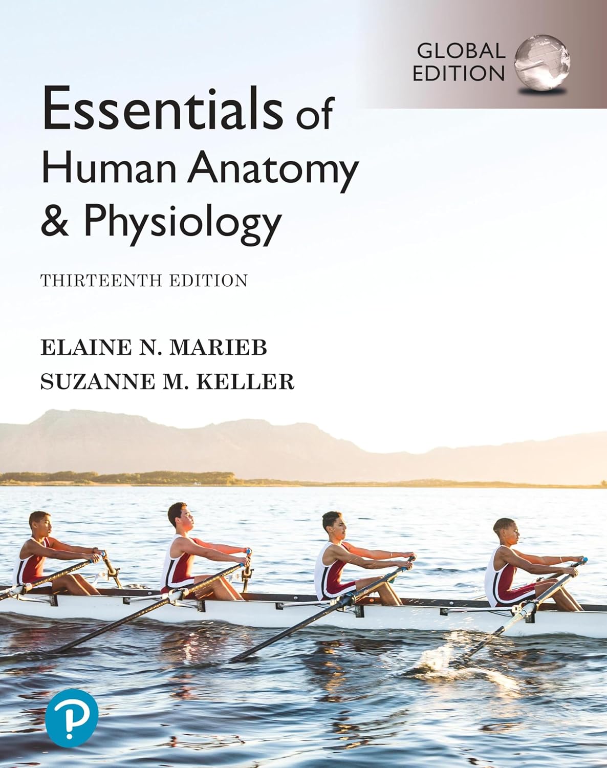81yAamZzQhL._SL1500_.jpg TESTBANK FOR Essentials of Human Anatomy & Physiology, Global Edition 13th Edition Elaine N. Marieb - QUESTIONS ALL CHAPTERS PDF - Image 1