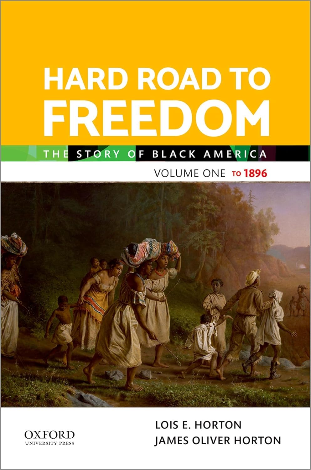 81zAg-QLavL._SL1500_.jpg TESTBANK FOR Hard Road to Freedom 1e Lois E. Horton - QUESTIONS ALL CHAPTERS PDF - Image 1