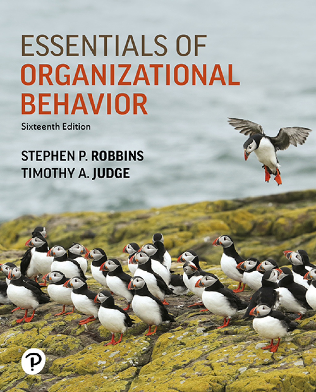 9780135353691.jpg TESTBANK FOR Essentials of Organizational Behavior, 16th edition Stephen P. Robbins - QUESTIONS ALL CHAPTERS PDF - Image 1