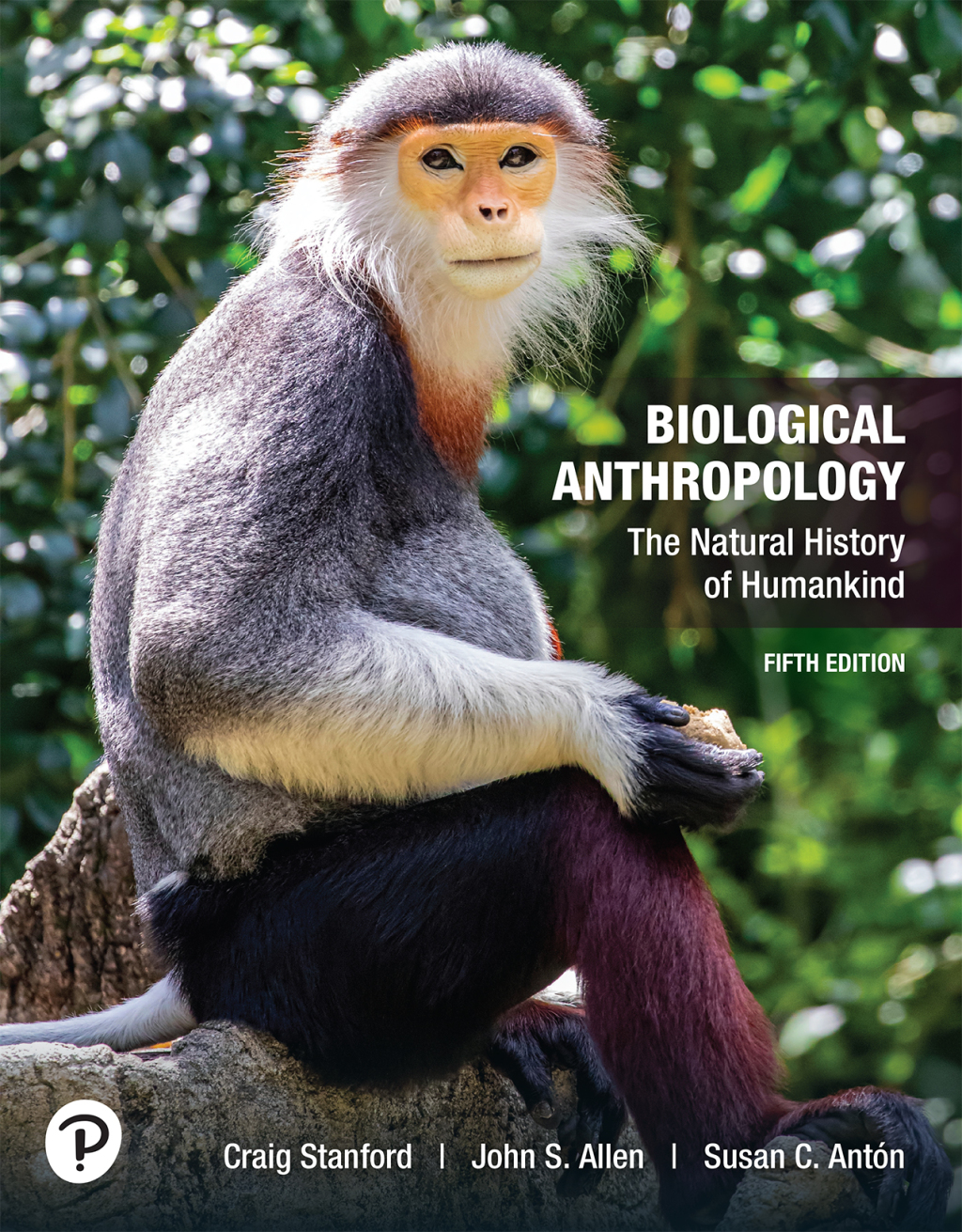 9780138028268.jpg TESTBANK FOR Biological Anthropology The Natural History of Humankind, 5th edition Stanford - QUESTIONS ALL CHAPTERS PDF - Image 1