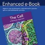 TESTBANK FOR The Cell A Molecular Approach 9e Cooper&Adams - QUESTIONS ALL CHAPTERS PDF