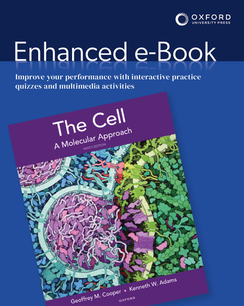 9780197583913.jpg TESTBANK FOR The Cell A Molecular Approach 9e Cooper&Adams - QUESTIONS ALL CHAPTERS PDF - Image 1