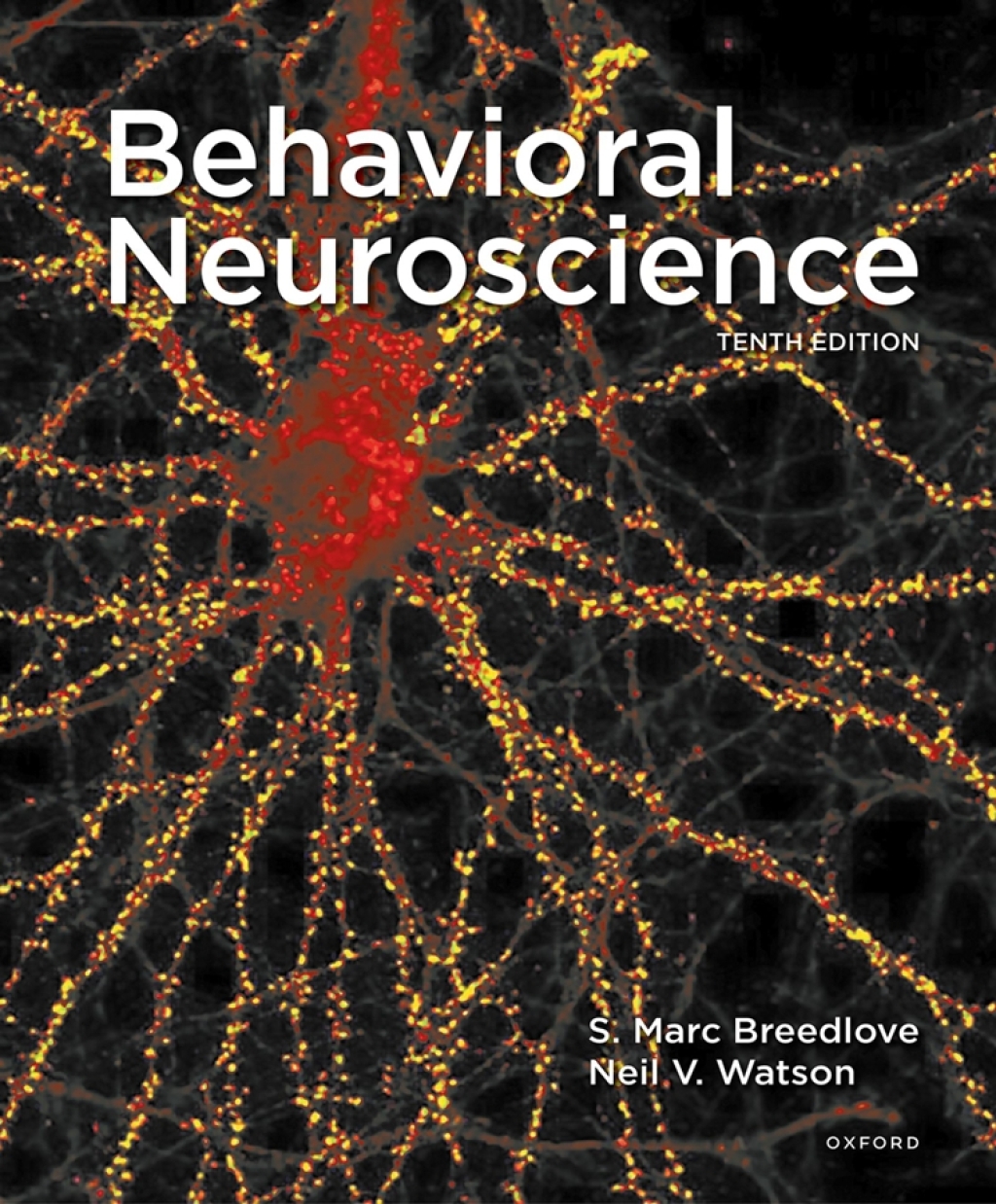 9780197616888.jpg TESTBANK FOR Behavioral Neuroscience 10e Breedlove and Watson - QUESTIONS ALL CHAPTERS PDF - Image 1