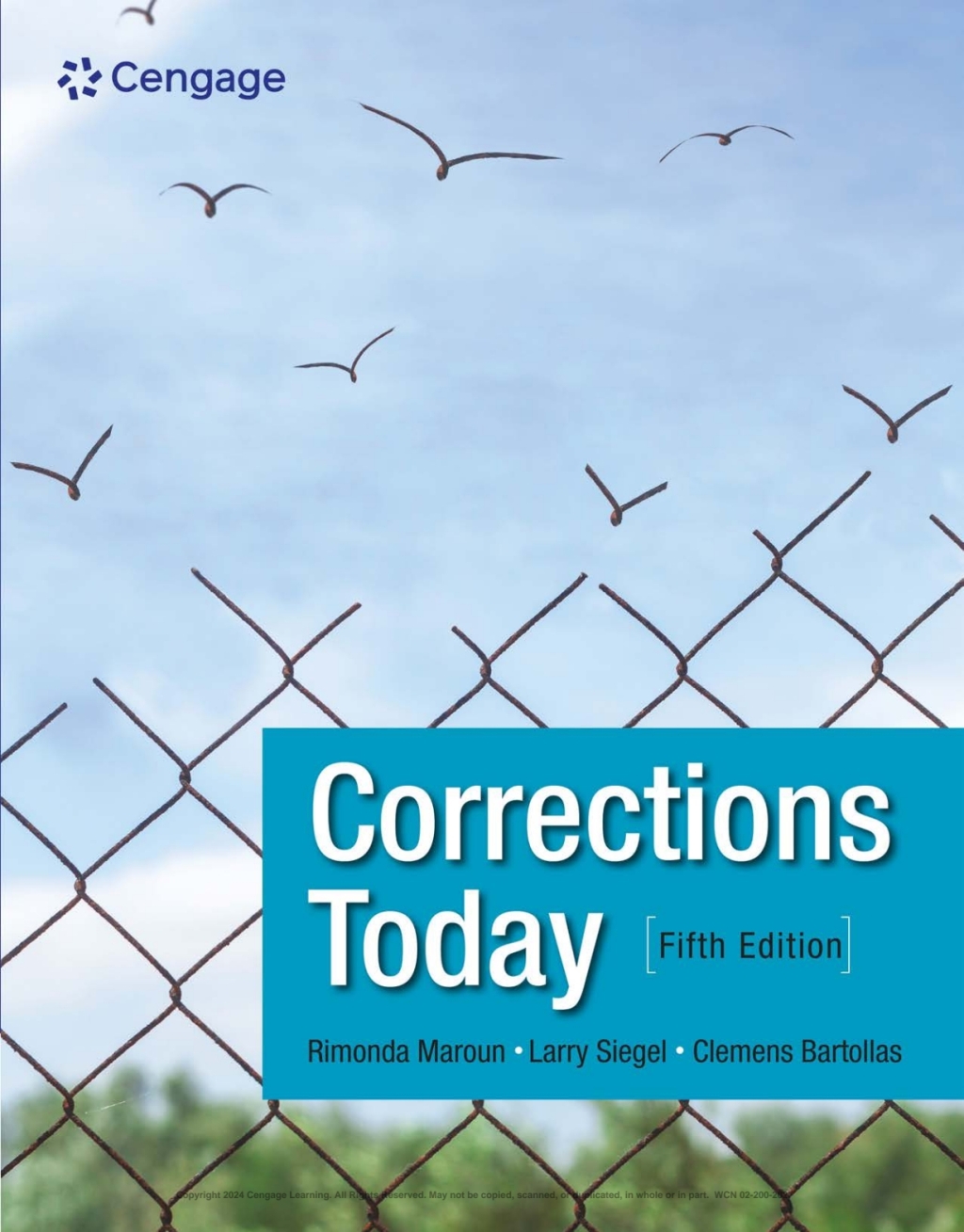 9780357763582.jpg SOLUTION MANUAL FOR Corrections Today, 5th Edition Rimonda R. Maroun - ANSWERS ALL CHAPTERS PDF - Image 1
