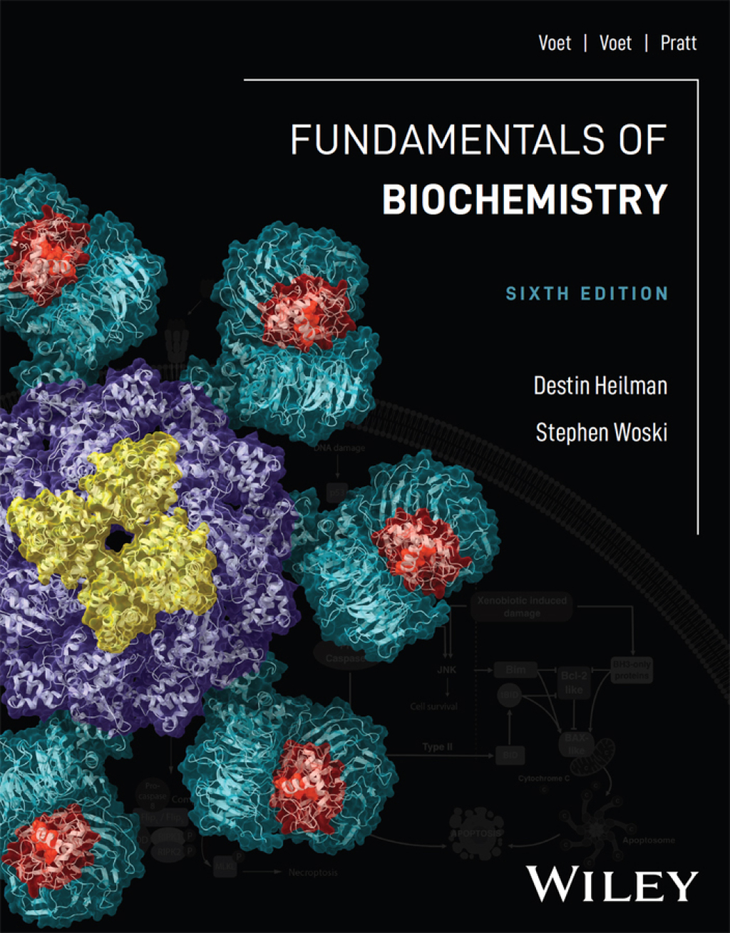 9781119903482.jpg TESTBANK FOR Fundamentals of Biochemistry 6e Voet - QUESTIONS ALL CHAPTERS PDF - Image 1
