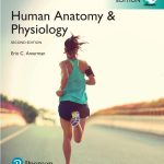 TESTBANK FOR Human Anatomy & Physiology, Global Edition 2nd Edition Erin C. Amerman - QUESTIONS ALL CHAPTERS PDF