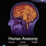 TESTBANK FOR Human Anatomy, Global Edition 9th Edition Elaine N. Marieb - QUESTIONS ALL CHAPTERS PDF