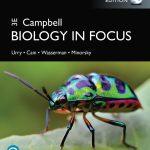 TESTBANK FOR Campbell Biology in Focus, Global Edition 3rd Edition Lisa A. Urry - QUESTIONS ALL CHAPTERS PDF