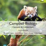 TESTBANK FOR Campbell Biology Concepts & Connections, Global Edition, 10th edition Martha R Taylor - QUESTIONS ALL CHAPTERS PDF