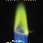 TESTBANK FOR General Chemistry, 11th Edition Darrell D. Ebbing - QUESTIONS ALL CHAPTERS PDF