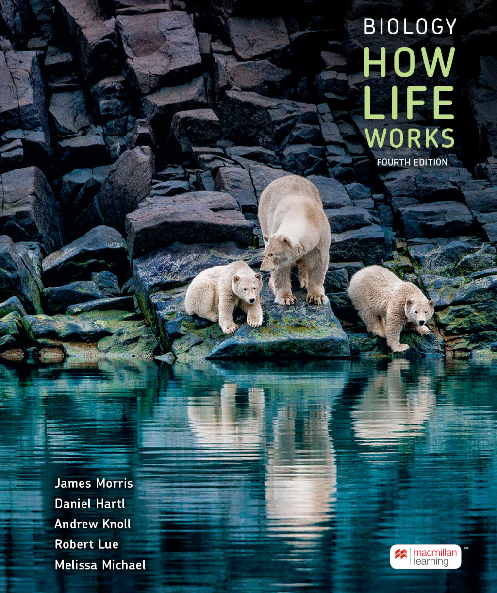 Mech_Morris_How Life Works 4e.SE.081022.indd TESTBANK FOR Biology How Life Works Fourth Edition James Morris - QUESTIONS ALL CHAPTERS PDF - Image 1