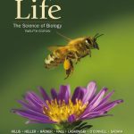 TESTBANK FOR Life The Science of Biology Digital Twelfth Edition David M. Hillis - QUESTIONS ALL CHAPTERS PDF