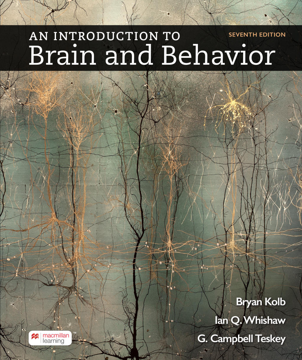 Mech_Kolb_An Introduction to Brain and Behavior 7e.SE.040122.ind TESTBANK FOR An Introduction to Brain and Behavior Seventh Edition Bryan Kolb - QUESTIONS ALL CHAPTERS PDF - Image 1