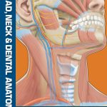 SOLUTION MANUAL FOR Head, Neck and Dental Anatomy, 5th Edition Marjorie J. Short - ANSWERS ALL CHAPTERS PDF