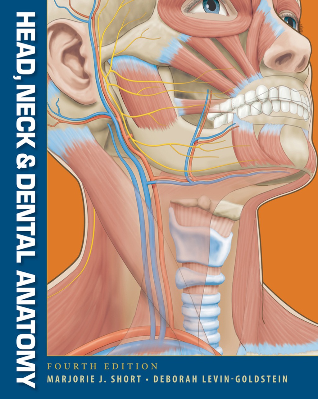 9781337020817.jpg SOLUTION MANUAL FOR Head, Neck and Dental Anatomy, 5th Edition Marjorie J. Short - ANSWERS ALL CHAPTERS PDF - Image 1