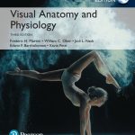 TESTBANK FOR Visual Anatomy & Physiology, Global Edition 3rd Edition Frederic H. Martini - QUESTIONS ALL CHAPTERS PDF