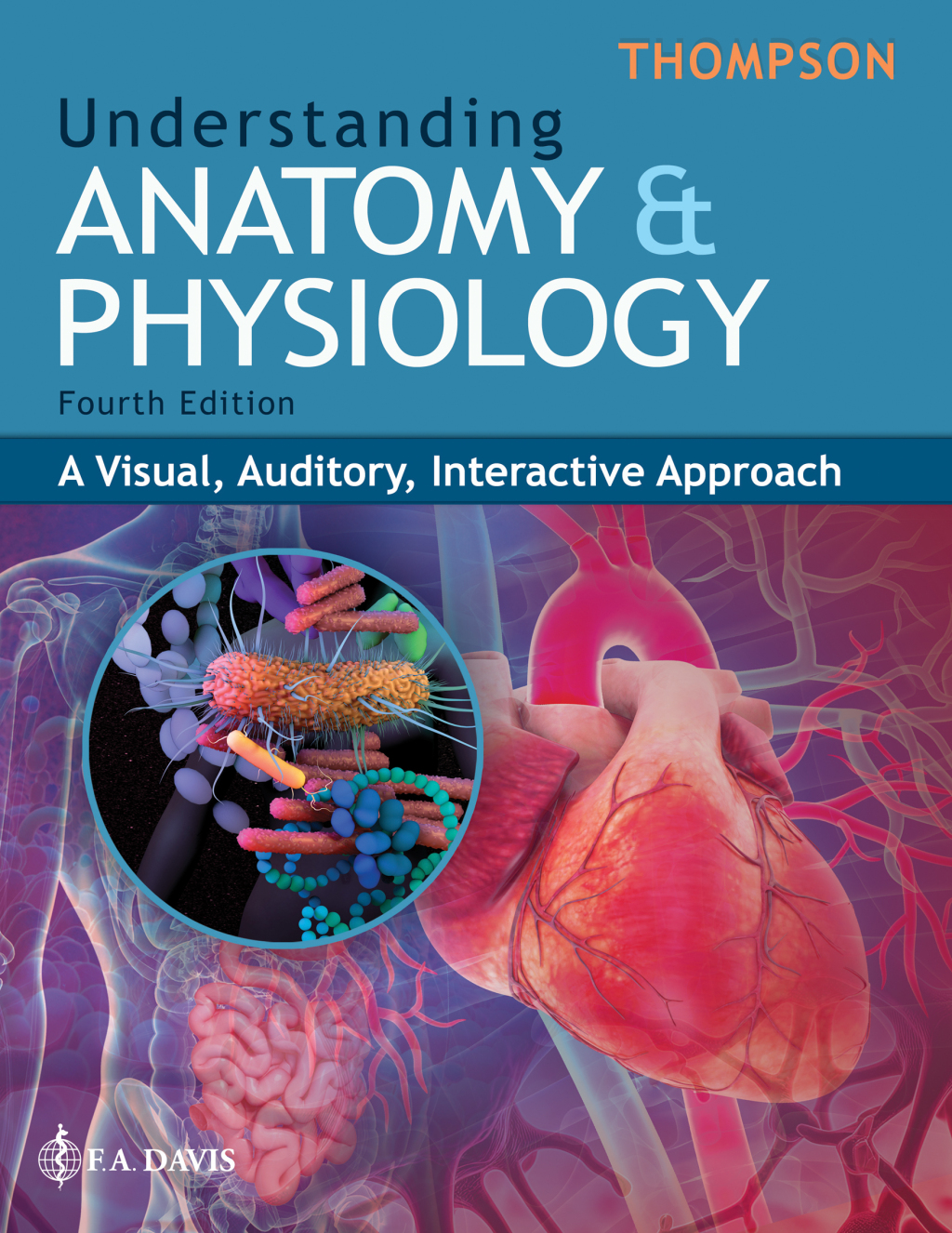 9781719653626.jpg TESTBANK FOR Understanding Anatomy & Physiology A Visual, Auditory, Interactive Approach 4th Edition Thompson - QUESTIONS ALL CHAPTERS PDF - Image 1