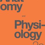 SOLUTION MANUAL FOR Anatomy and Physiology 2e Gordon Betts - ANSWERS ALL CHAPTERS PDF