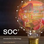 TESTBANK FOR SOC 7th Edition Benokraitis - QUESTIONS ALL CHAPTERS PDF