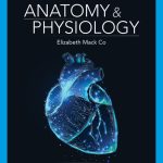 TESTBANK FOR Anatomy & Physiology , 1st Edition Elizabeth Co - QUESTIONS ALL CHAPTERS PDF