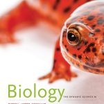 TESTBANK FOR Biology The Dynamic Science, 4th Edition Peter J. Russell - QUESTIONS ALL CHAPTERS PDF