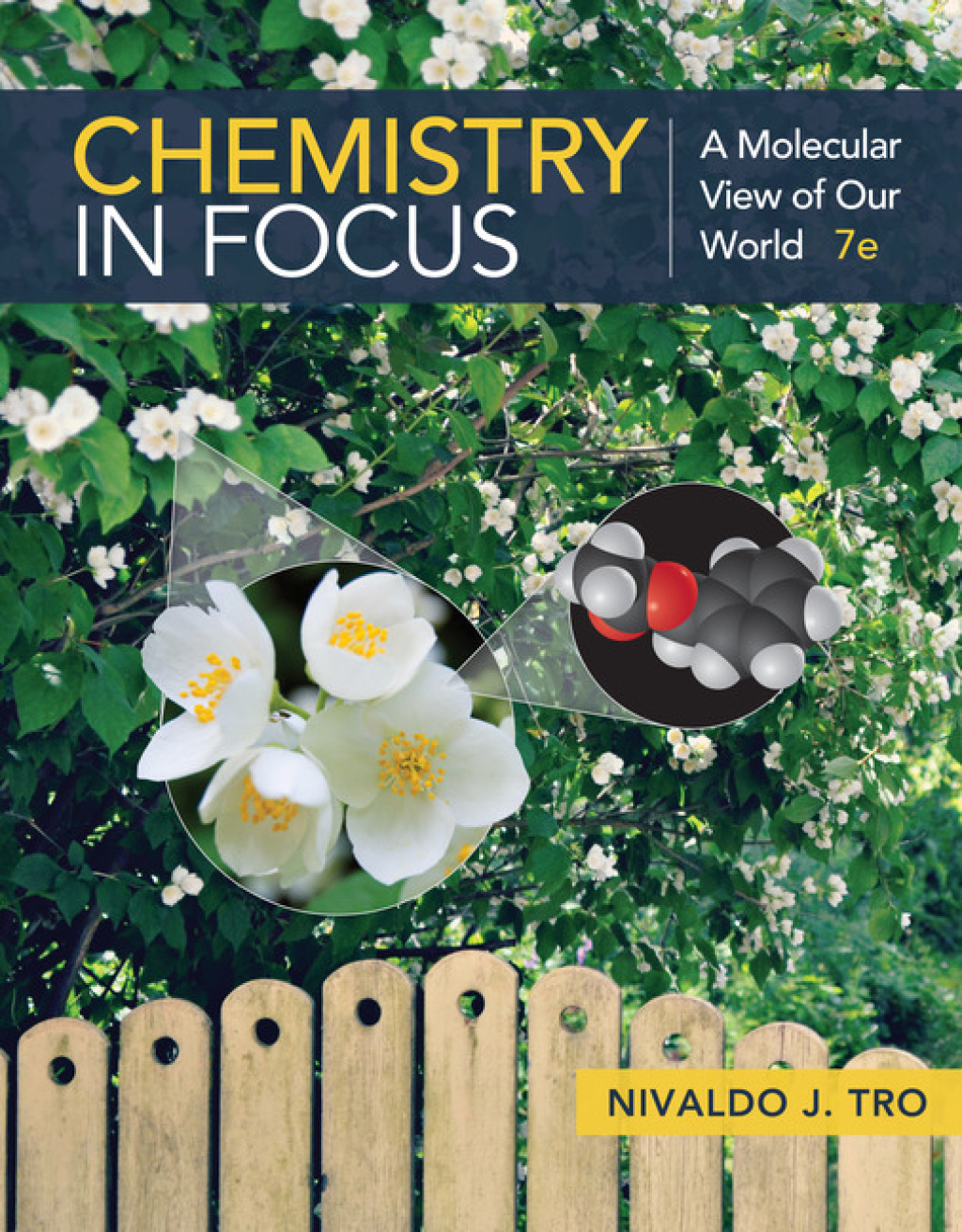 9798214339573.jpg TESTBANK FOR Chemistry in Focus A Molecular View of Our World, 7th Edition Nivaldo J. Tro - QUESTIONS ALL CHAPTERS PDF - Image 1