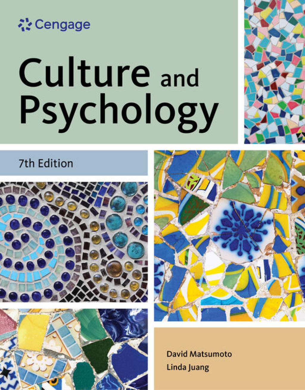 9798214341316.jpg TESTBANK FOR Culture and Psychology , 7th Edition David Matsumoto - QUESTIONS ALL CHAPTERS PDF - Image 1