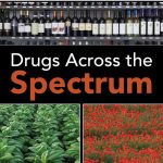 TESTBANK FOR Drugs Across the Spectrum, 9th Edition Pardess Mitchell - QUESTIONS ALL CHAPTERS PDF
