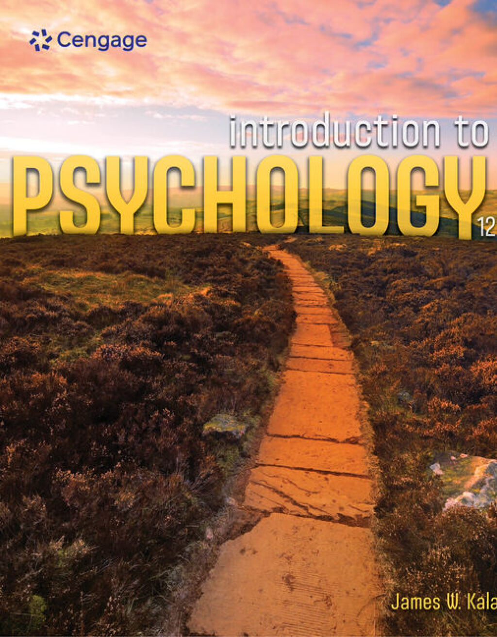 9798214346793.jpg TESTBANK FOR Introduction to Psychology , 12th Edition James W. Kalat - QUESTIONS ALL CHAPTERS PDF - Image 1