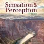 TESTBANK FOR Sensation and Perception , 11th Edition E. Bruce Goldstein - QUESTIONS ALL CHAPTERS PDF
