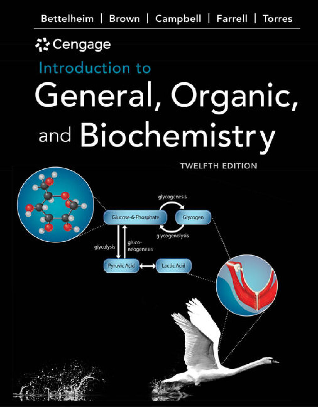 9798214357409.jpg TESTBANK FOR Introduction to General, Organic and Biochemistry, 12th Edition Frederick A - QUESTIONS ALL CHAPTERS PDF - Image 1