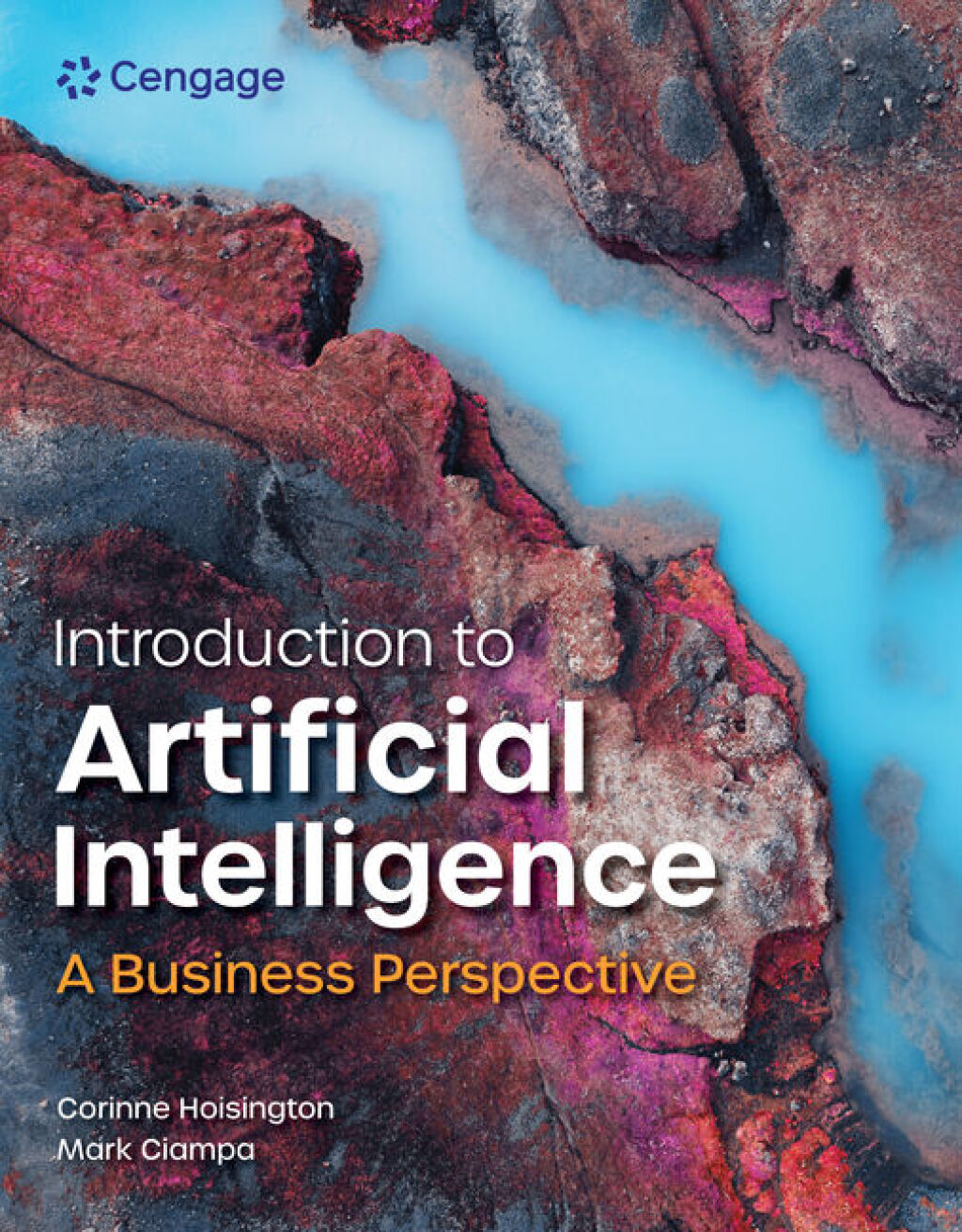 9798214419374.jpg TESTBANK FOR Introduction to Artificial Intelligence 1st Edition Hoisington - QUESTIONS ALL CHAPTERS PDF - Image 1