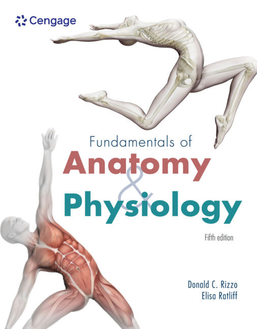 9798214489841.jpg TESTBANK FOR Fundamentals of Anatomy and Physiology 5th Edition Rizzo - QUESTIONS ALL CHAPTERS PDF - Image 1