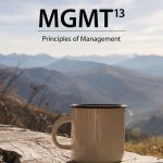 TESTBANK FOR MGMT 13th Edition Williams - QUESTIONS ALL CHAPTERS PDF