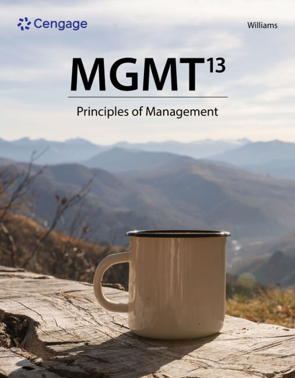 9798214582160.jpg TESTBANK FOR MGMT 13th Edition Williams - QUESTIONS ALL CHAPTERS PDF - Image 1